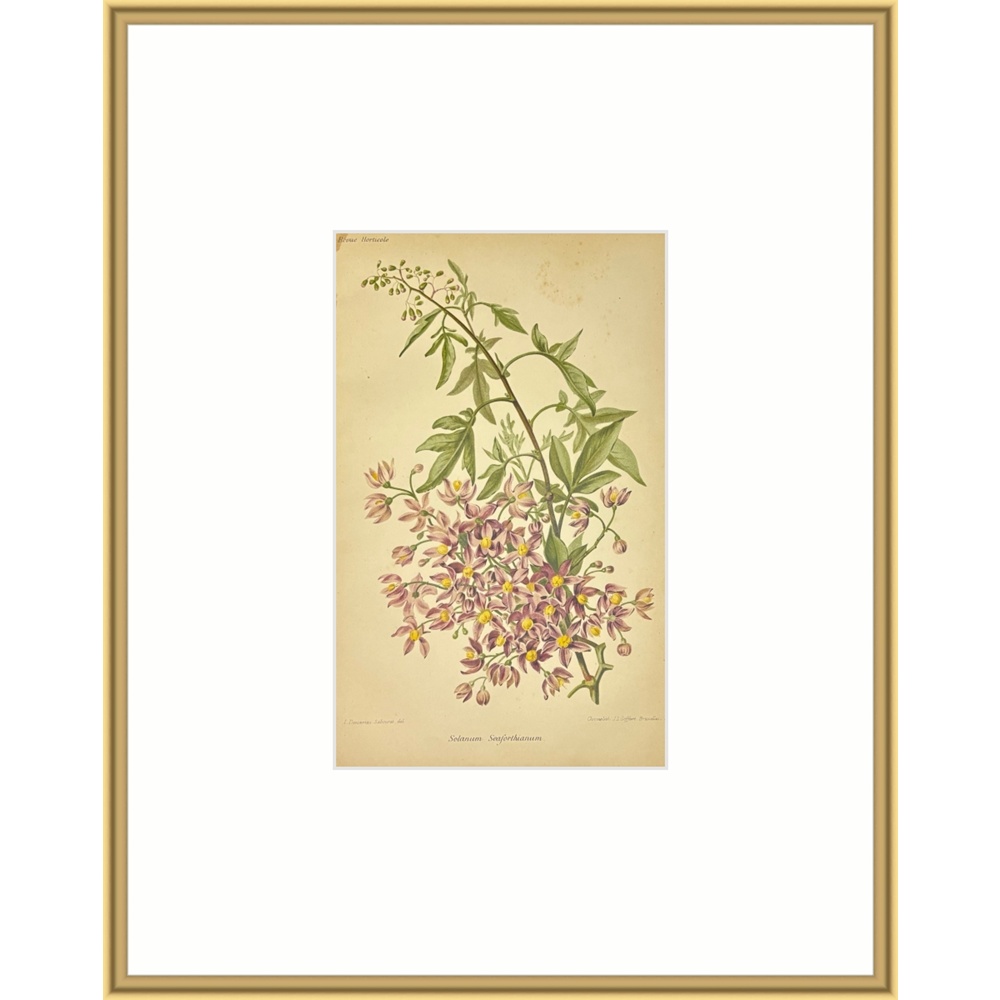 F2510 - Image 4