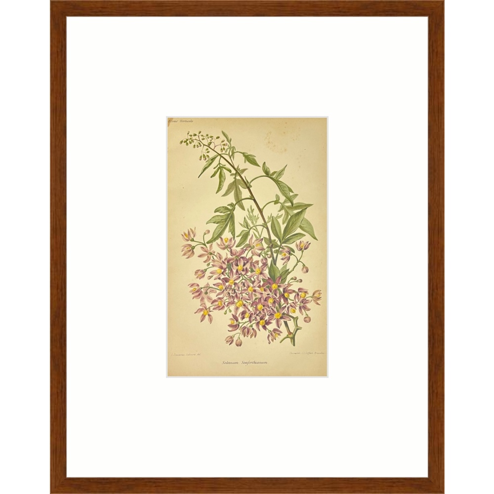 F2510 - Image 5