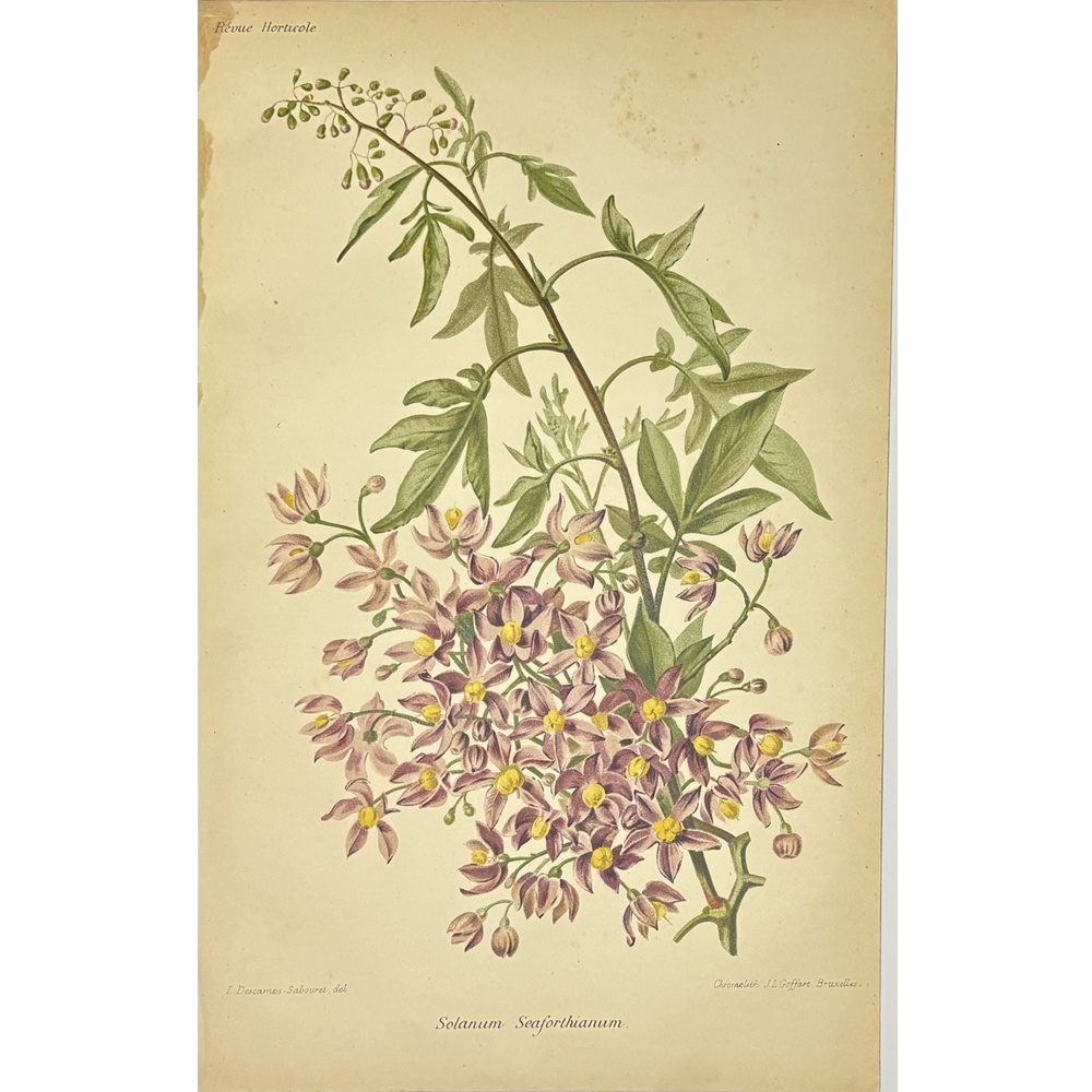 F2510 - Image 6