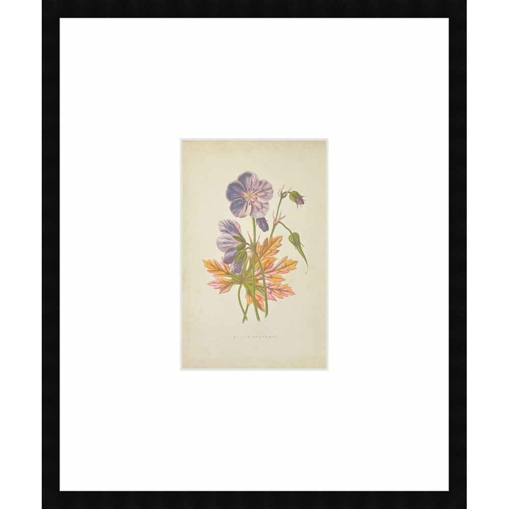 F2511 - Image 2