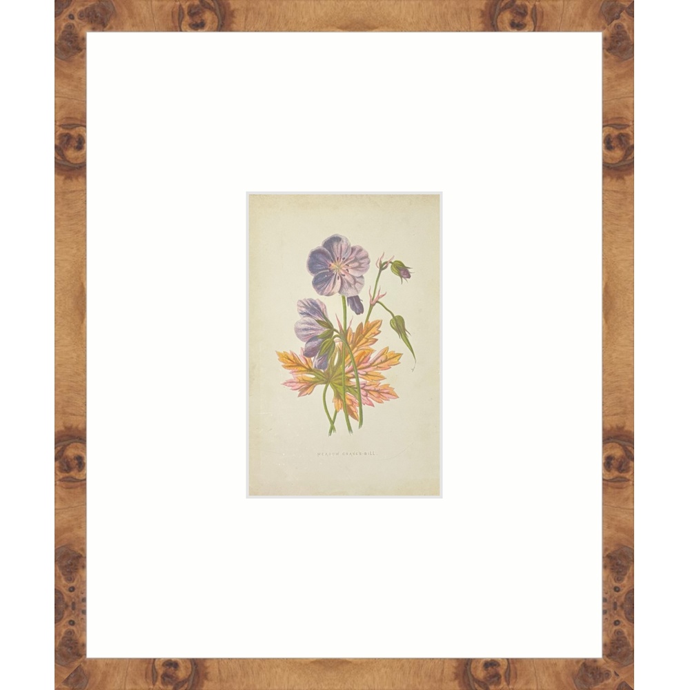 F2511 - Image 4