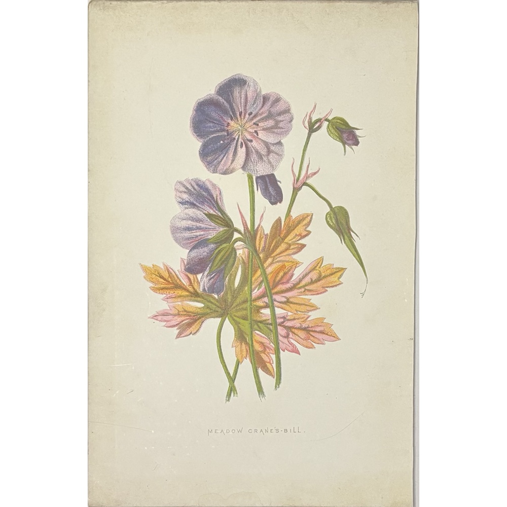 F2511 - Image 6