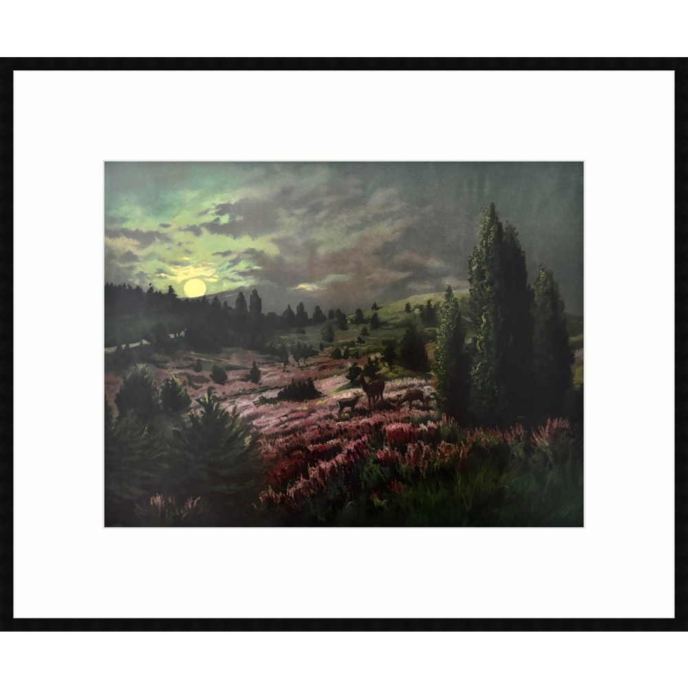 L2525 - Image 2
