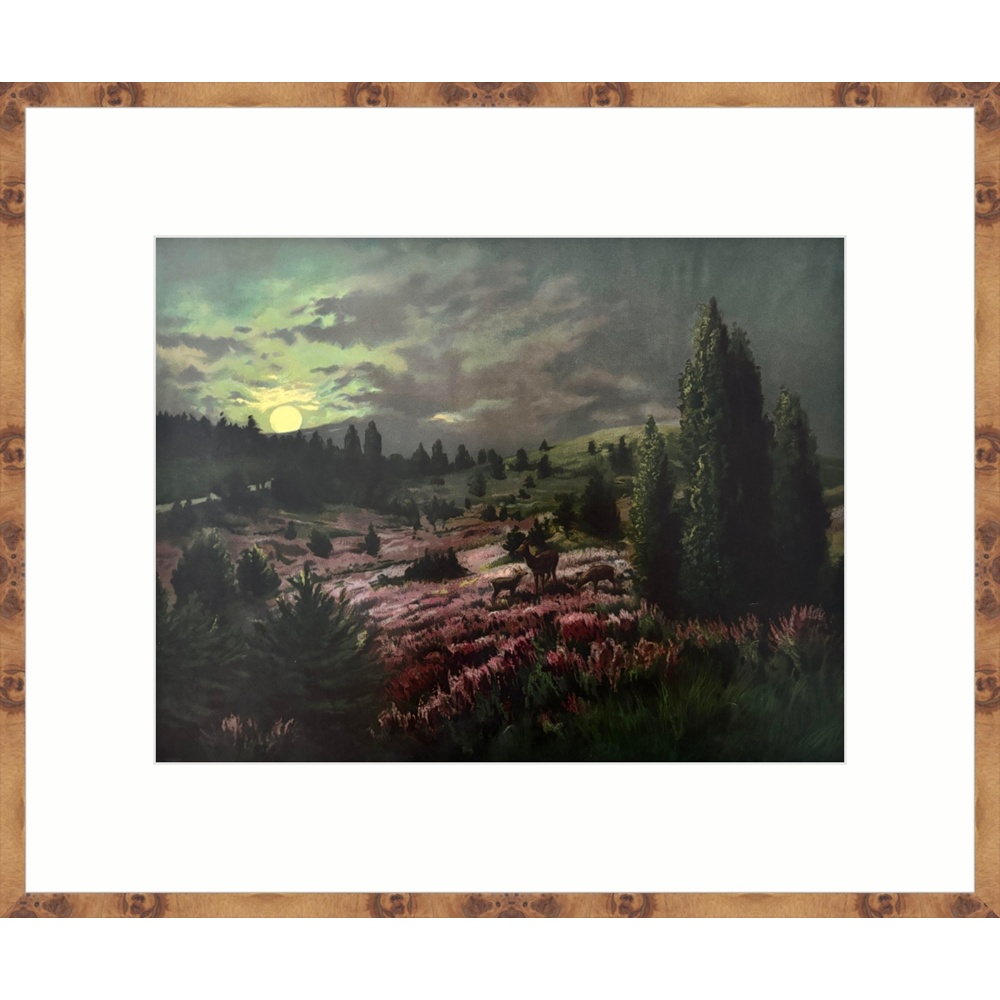 L2525 - Image 4