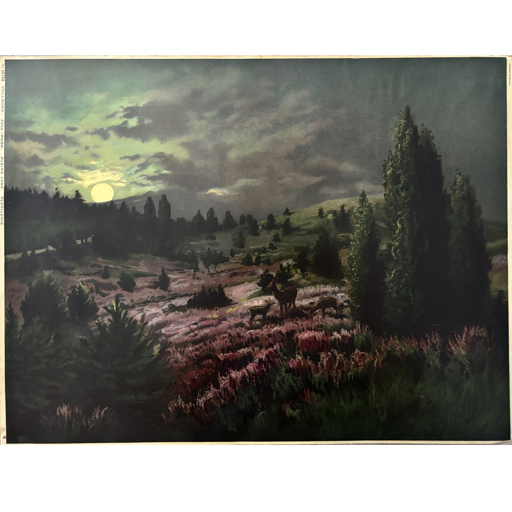 L2525 - Image 6